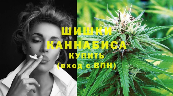 дживик Навашино